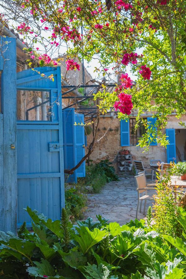 Sa Casa Rotja Villa Синеу Екстериор снимка
