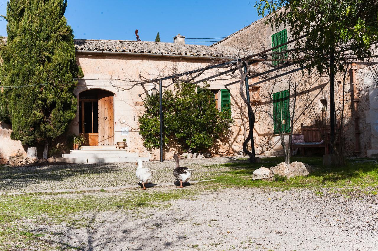 Sa Casa Rotja Villa Синеу Екстериор снимка