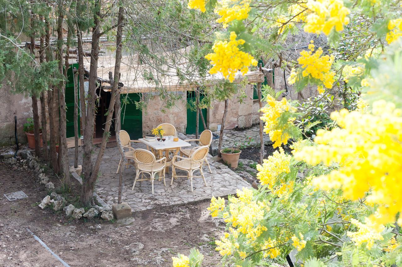Sa Casa Rotja Villa Синеу Екстериор снимка